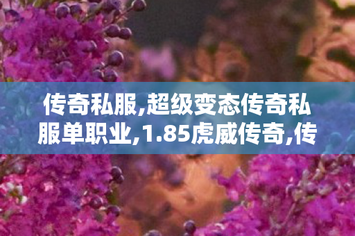 传奇私服,超级变态传奇私服单职业,1.85虎威传奇,传世sf网,1.85虎威传奇