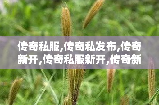 传奇私服,传奇私发布,传奇新开,传奇私服新开,传奇新开