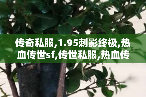 传奇私服,1.95刺影终极,热血传世sf,传世私服,热血传世sf