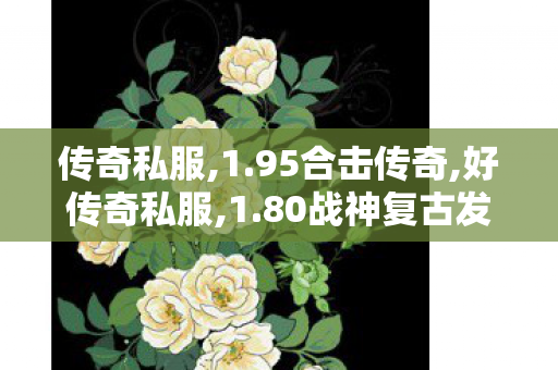 传奇私服,1.95合击传奇,好传奇私服,1.80战神复古发布网,好传奇私服
