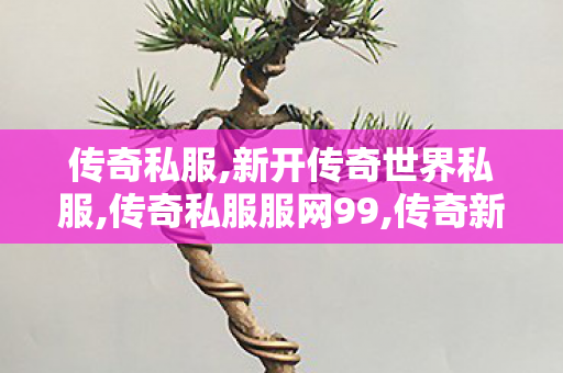 传奇私服,新开传奇世界私服,传奇私服服网99,传奇新开,传奇私服服网99