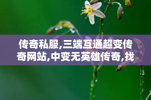 传奇私服,三端互通超变传奇网站,中变无英雄传奇,找传世私服发布网站,中变无英雄传奇