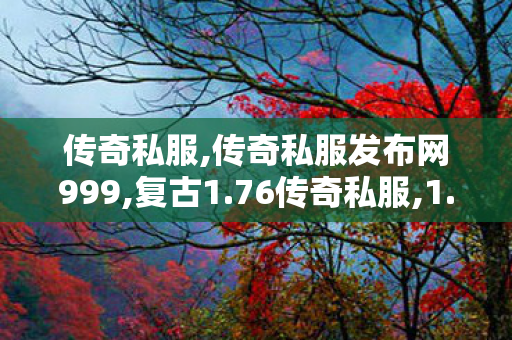 传奇私服,传奇私服发布网999,复古1.76传奇私服,1.80私服发布网,复古1.76传奇私服