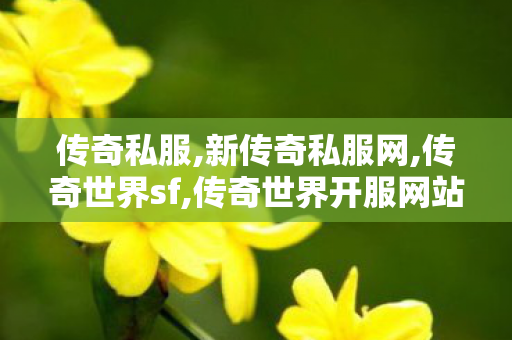 传奇私服,新传奇私服网,传奇世界sf,传奇世界开服网站,传奇世界sf
