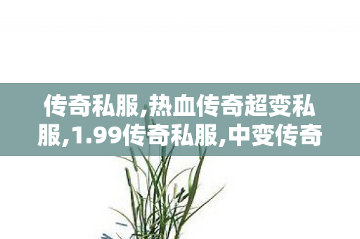 传奇私服,热血传奇超变私服,1.99传奇私服,中变传奇网站新开网,1.99传奇私服