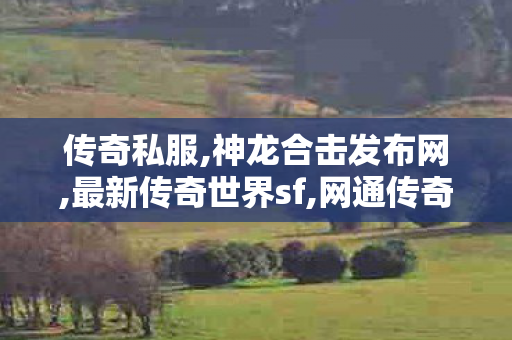传奇私服,神龙合击发布网,最新传奇世界sf,网通传奇私服合击版,最新传奇世界sf