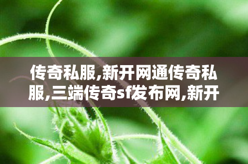 传奇私服,新开网通传奇私服,三端传奇sf发布网,新开变态传世,三端传奇sf发布网