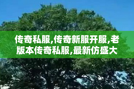 传奇私服,传奇新服开服,老版本传奇私服,最新仿盛大传奇私服,老版本传奇私服