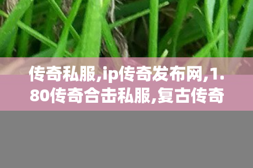 传奇私服,ip传奇发布网,1.80传奇合击私服,复古传奇sf,1.80传奇合击私服