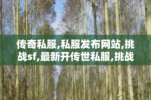 传奇私服,私服发布网站,挑战sf,最新开传世私服,挑战sf