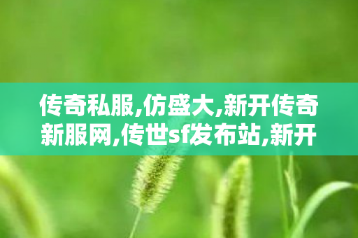 传奇私服,仿盛大,新开传奇新服网,传世sf发布站,新开传奇新服网
