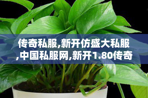 传奇私服,新开仿盛大私服,中国私服网,新开1.80传奇网,中国私服网