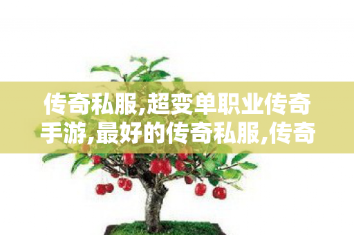 传奇私服,超变单职业传奇手游,最好的传奇私服,传奇私服发布网woool,最好的传奇私服