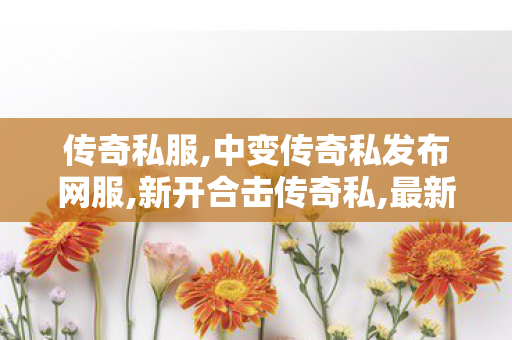 传奇私服,中变传奇私发布网服,新开合击传奇私,最新开合击传奇,新开合击传奇私