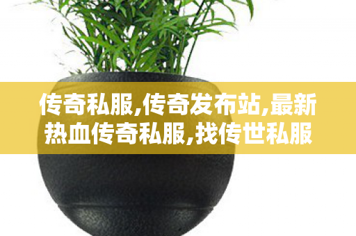 传奇私服,传奇发布站,最新热血传奇私服,找传世私服,最新热血传奇私服