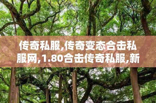传奇私服,传奇变态合击私服网,1.80合击传奇私服,新开传奇sf发布网站,1.80合击传奇私服
