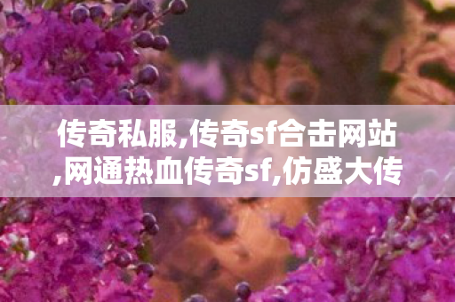 传奇私服,传奇sf合击网站,网通热血传奇sf,仿盛大传世私服发布网,网通热血传奇sf