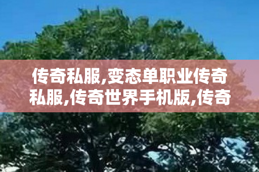 传奇私服,变态单职业传奇私服,传奇世界手机版,传奇归来私服,传奇世界手机版