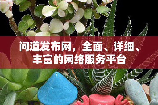问道发布网，全面、详细、丰富的网络服务平台
