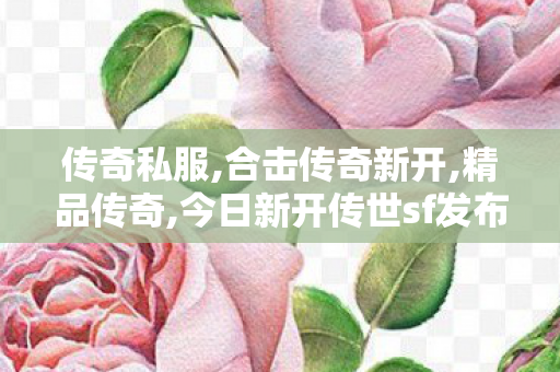 传奇私服,合击传奇新开,精品传奇,今日新开传世sf发布网,精品传奇