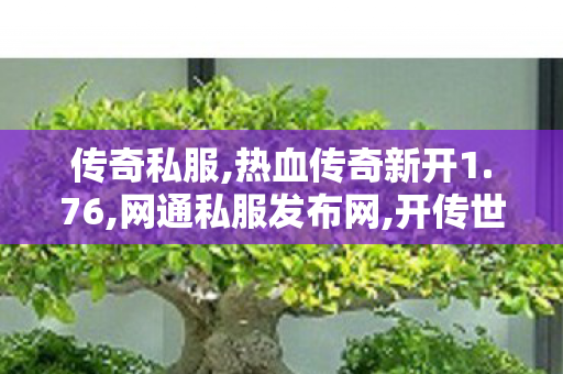 传奇私服,热血传奇新开1.76,网通私服发布网,开传世sf网站,网通私服发布网