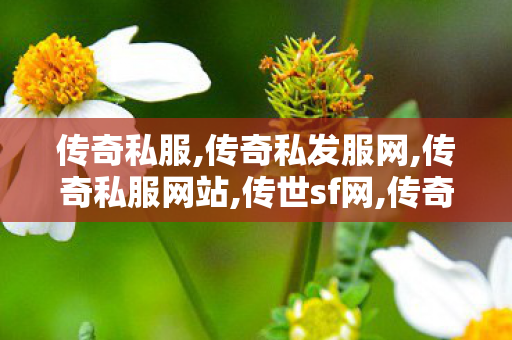 传奇私服,传奇私发服网,传奇私服网站,传世sf网,传奇私服网站