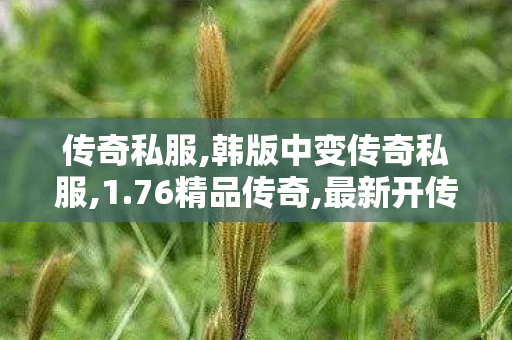 传奇私服,韩版中变传奇私服,1.76精品传奇,最新开传奇合击,1.76精品传奇