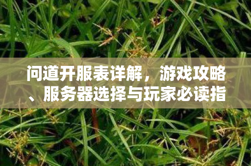 问道开服表详解，游戏攻略、服务器选择与玩家必读指南