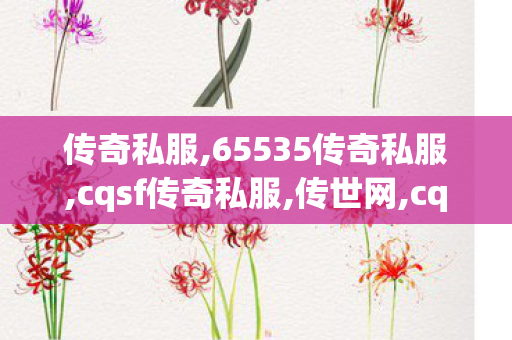 传奇私服,65535传奇私服,cqsf传奇私服,传世网,cqsf传奇私服