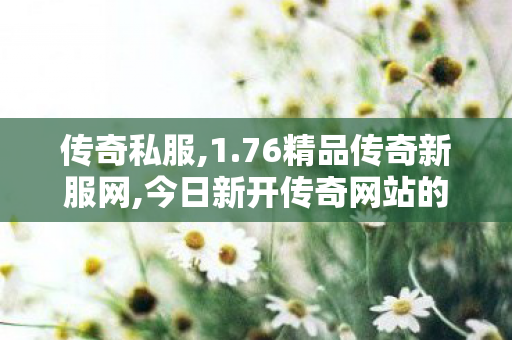 传奇私服,1.76精品传奇新服网,今日新开传奇网站的发布平台,新开传奇世界私服中变,今日新开传奇网站的发布平台