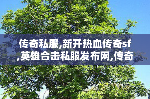 传奇私服,新开热血传奇sf,英雄合击私服发布网,传奇世界找服网站,英雄合击私服发布网
