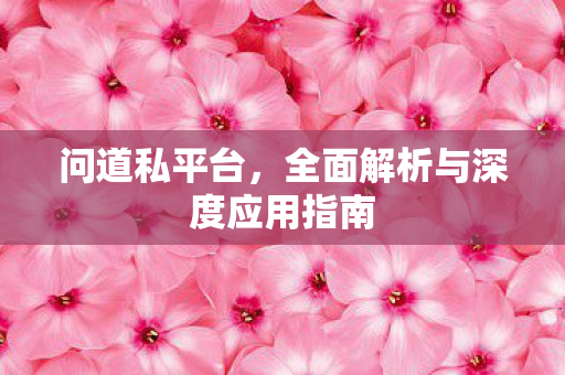 问道私平台，全面解析与深度应用指南