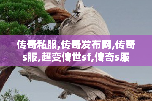 传奇私服,传奇发布网,传奇s服,超变传世sf,传奇s服