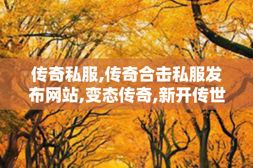 传奇私服,传奇合击私服发布网站,变态传奇,新开传世私服中变,变态传奇