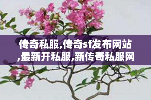 传奇私服,传奇sf发布网站,最新开私服,新传奇私服网,最新开私服