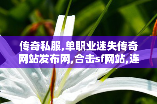 传奇私服,单职业迷失传奇网站发布网,合击sf网站,连击传奇私服,合击sf网站