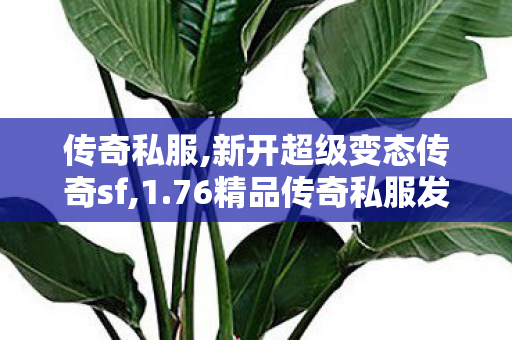 传奇私服,新开超级变态传奇sf,1.76精品传奇私服发布网,传奇世界私服,1.76精品传奇私服发布网