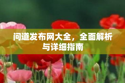 问道发布网大全，全面解析与详细指南