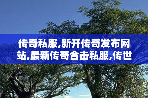 传奇私服,新开传奇发布网站,最新传奇合击私服,传世开sf,最新传奇合击私服