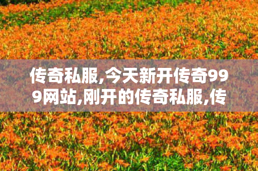 传奇私服,今天新开传奇999网站,刚开的传奇私服,传奇1.76私服发布网,刚开的传奇私服