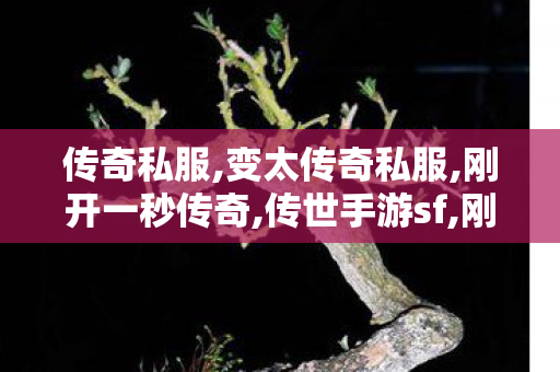 传奇私服,变太传奇私服,刚开一秒传奇,传世手游sf,刚开一秒传奇