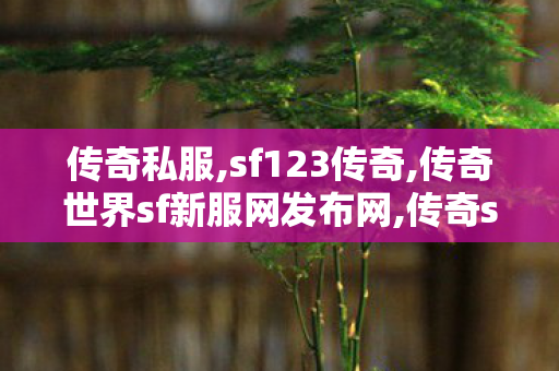 传奇私服,sf123传奇,传奇世界sf新服网发布网,传奇sf发布,传奇世界sf新服网发布网