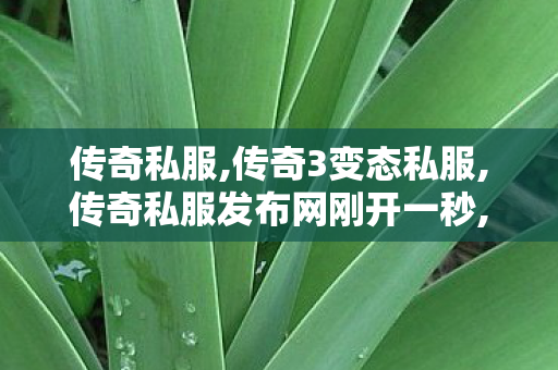 传奇私服,传奇3变态私服,传奇私服发布网刚开一秒,新开网通传奇,传奇私服发布网刚开一秒