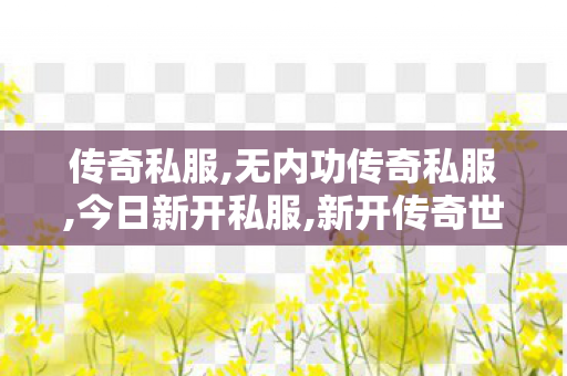 传奇私服,无内功传奇私服,今日新开私服,新开传奇世界私服,今日新开私服