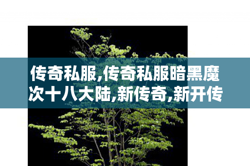 传奇私服,传奇私服暗黑魔次十八大陆,新传奇,新开传世私服中变,新传奇