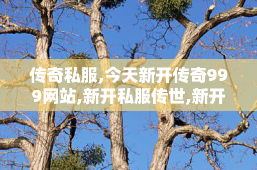 传奇私服,今天新开传奇999网站,新开私服传世,新开传奇世界网站,新开私服传世