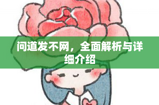 问道发不网，全面解析与详细介绍