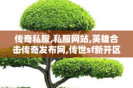 传奇私服,私服网站,英雄合击传奇发布网,传世sf新开区网站,英雄合击传奇发布网