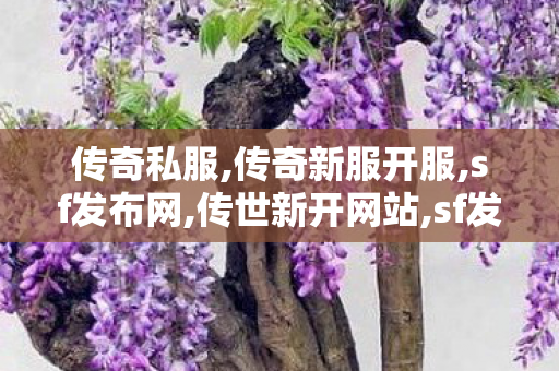 传奇私服,传奇新服开服,sf发布网,传世新开网站,sf发布网