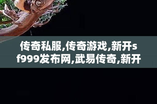 传奇私服,传奇游戏,新开sf999发布网,武易传奇,新开sf999发布网